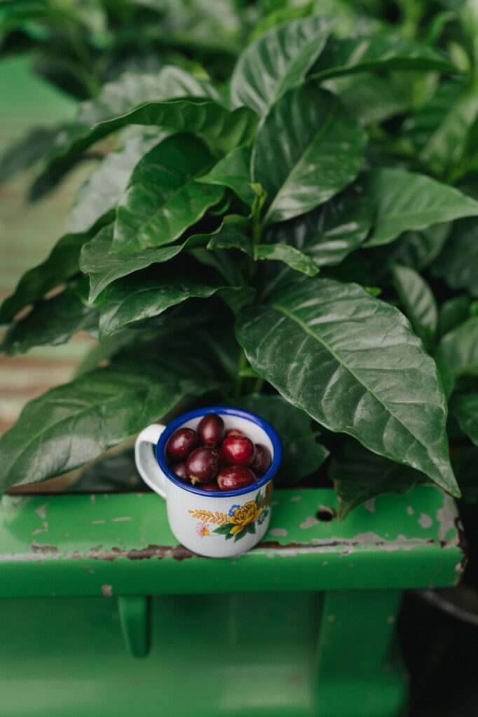 c72dbb80-1cb6-483b-9314-6882fac03a51